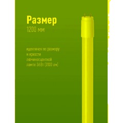 Лампа светодиодная Космос Lksm_LED20wG13T840GL 20Вт G13 Т8 4000К нейт.бел - фото 2