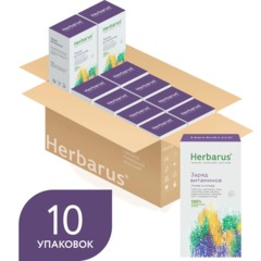Чайный напиток напиток Herbarus, Заряд витаминов, 24пак - фото 4