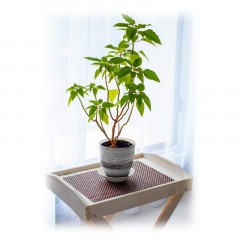 Салфетка на стол 300х450х1, прямоуг, плетен 8х8, кор.(VHM-COTM88304501-br) Салфетка на стол 300х450х1, прямоуг, плетен 8х8, кор.(VHM-COTM88304501-br) - фото 3