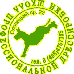 Оснастка для печати кругл. карман. Stamp Mouse R40 Colop - фото 4