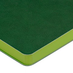 Ежедневник недатированный А5 BOSTON(ЗЕЛЕНЫЙ) 3-228/07 - фото 4