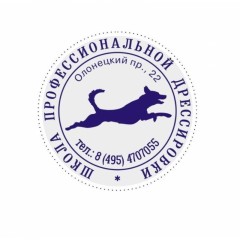 Оснастка для печати кругл. карман. Stamp Mouse R40 черная Colop Оснастка для печати кругл. карман. Stamp Mouse R40 черная Colop - фото 2