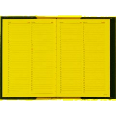 Ежедневник недатированный А5 sorrento (красный) 3-223/05 - фото 11