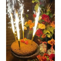 Набор свечей для торта Фонтан,4шт/уп,высота свечи 12,5см, 40сек,MF-001 Набор свечей для торта Фонтан,4шт/уп,высота свечи 12,5см, 40сек,MF-001 - фото 2