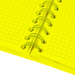 Бизнес-тетрадь 120л,клетка,А5 Flora 2,пласт.обл,серебр.спир,3раздел,линейка - фото 11