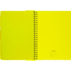 Бизнес-тетрадь 120л,клетка,А4 Flora 1,пласт.обл,серебр.спир,3раздел,линейка - фото 10