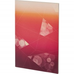 Тетрадь общая А4,48л,кл,скоб,офсет-2 Ice красн/фиол - фото 2