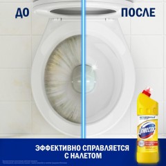 Средство для сантехники ДОМЕСТОС универсальное Лимонная свежесть 1л Средство для сантехники ДОМЕСТОС универсальное Лимонная свежесть 1л - фото 5