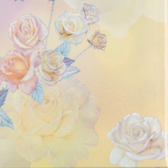 Папка адресная А4 Attache Поздравляем! ламиниров Розы акварель мягкая - фото 3