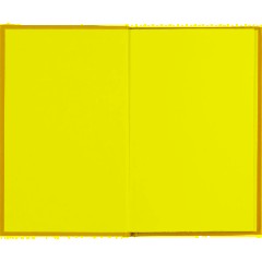 Бизнес-тетрадь А5,80л,7БЦ мат.лам,тон.бл,кл, Attache Bright colours лайм - фото 5