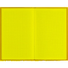 Бизнес-тетрадь А5,80л,7БЦ мат.лам,тон.бл,кл, Attache Bright colours лайм - фото 6