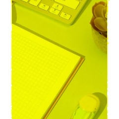 Бизнес-тетрадь А5,80л,7БЦ мат.лам,тон.бл,кл, Attache Bright colours лайм - фото 9