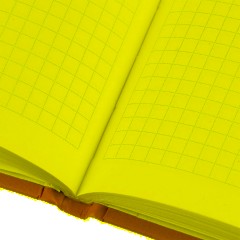 Бизнес-тетрадь А5,80л,7БЦ мат.лам,тон.бл,кл, Attache Bright colours желтый - фото 7