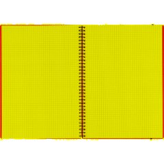 Бизнес-тетрадь Тетрадь Attache Neon А4 96л кл.спираль обл.пластик зеленый - фото 6