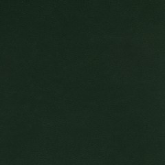 Ежедневник недатированный А5+ Velvet, темно-зеленый 3-115/24 - фото 6