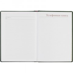 Ежедневник недатированный А5+ Velvet, темно-зеленый 3-115/24 - фото 18