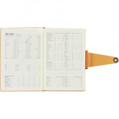 Ежедневник недатированный А5 Primavera, оранжевый 3-536/03 - фото 14