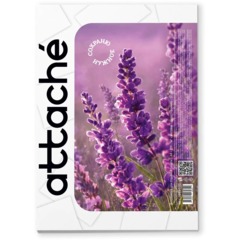 Фотобумага для цветн.струйн.печати (А4,220г,мат.2-стор)уп.50л(1457501) - фото 3