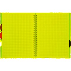 Бизнес-тетрадь Attache А4,100л,кл,спир,обл.пластик,с разделителями,голубой - фото 6