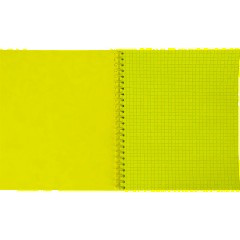 Бизнес-тетрадь Принты А5 96л, клетка, обл. мел. картон, спираль,Птицы - фото 5