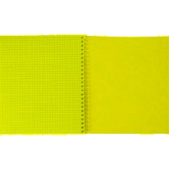 Бизнес-тетрадь Принты А5 96л, клетка, обл. мел. картон, спираль,Птицы - фото 7