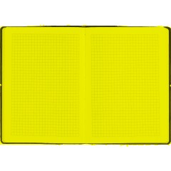 Блокнот Папоротники А5, 128л, клетка, обложка экокожа, с резинкой - фото 7