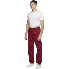 Брюки универсальные сат у17 ХАССП бордо 104-108/170-176 - фото 6