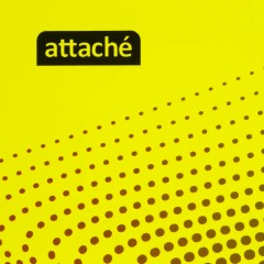 Блокнот А4,80л,клетка,метал.гребень,цв.обложка Forma - фото 9