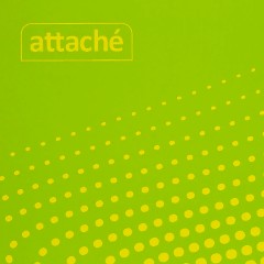 Блокнот А4,40л,клетка,метал.гребень,цв.обложка Forma - фото 9