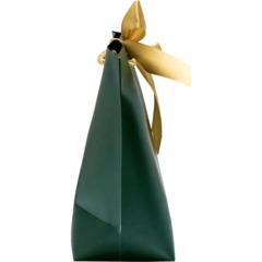Пакет подарочный Present for you, 28 х 20 х 9 см, темно-зел., 4785005 - фото 2