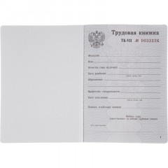 Бланк Трудовая книжка (новый 2023г) Бланк Трудовая книжка (новый 2023г) - фото 2