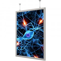 Панель световая Frame LED 1стор тросы А3+(327х450)раз.пл.297х420 дерев.к Панель световая Frame LED 1стор тросы А3+(327х450)раз.пл.297х420 дерев.к - фото 2