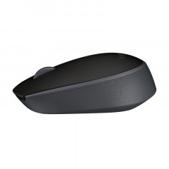 Мышь компьютерная Logitech USB OPTICAL WRL M171 BLACK Мышь компьютерная Logitech USB OPTICAL WRL M171 BLACK - фото 3