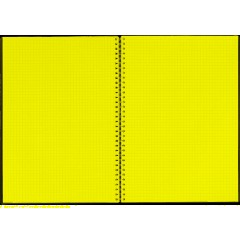 Бизнес-тетрадь А4 120л Attache гребень клетка пластик черн с тиснением - фото 6
