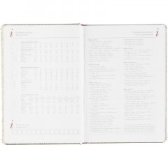 Ежедневник недатированный Sidney Nebraska, А5, 136л, серебро 3-128/10 - фото 13