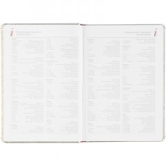 Ежедневник недатированный Sidney Nebraska, А5, 136л, серебро 3-128/10 - фото 14