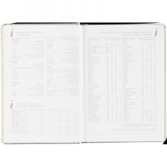 Ежедневник недатированный Sidney Nebraska, А5, 136л, серебро 3-128/10 - фото 15