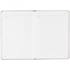 Ежедневник недатированный Sidney Nebraska, А5, 136л, серебро 3-128/10 - фото 17