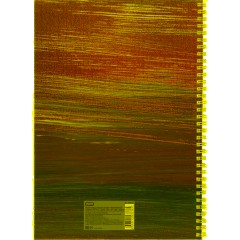 Бизнес-тетрадь А4 96л AttacheSelection Gold Collection клет,спир,карт,голуб - фото 8