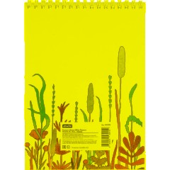 Блокнот А5 60л Attache Nature White flowers клет,65г,100%,греб,карт,ВД-лак - фото 8