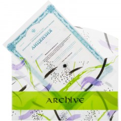 Папка-конверт на кнопке A4 Attache Archive 180 мкм, 3 шт/уп - фото 5