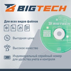 Носители информации Bigtech YCDRB003 CD-R 700 МБ/52х/25шт/уп (бокс) - фото 3