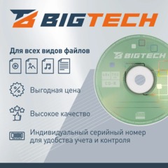 Носители информации Bigtech YCDRB005 CD-R 700 МБ/48х/1шт конверт белый - фото 3