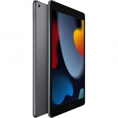 Планшет Apple iPad 2021 10,2 Wi-Fi 256Gb Space Grey A2602(MK2N3ZA/A) Планшет Apple iPad 2021 10,2 Wi-Fi 256Gb Space Grey A2602(MK2N3ZA/A) - фото 6