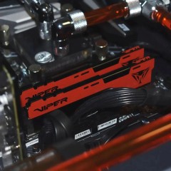 Модуль памяти Patriot Viper Elite II DDR4 8GB 2666Мгц CL16(PVE248G266C6) - фото 5
