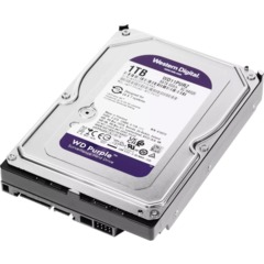 Жесткий диск Western Digital Purple 1Tb, SATA, 5400rpm, 64MB(WD11PURZ) - фото 4