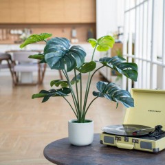 Цветок искусственный Монстера в цементном горшке, Д150 Ш150 В890,Mia1 Цветок искусственный Монстера в цементном горшке, Д150 Ш150 В890,Mia1 - фото 4