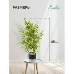 Цветок искусственный Бамбук в цементном горшке, Д125 Ш125 В650,Mia5 Цветок искусственный Бамбук в цементном горшке, Д125 Ш125 В650,Mia5 - фото 5
