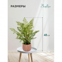 Цветок искусственный Папоротник курчавый в керам горшке,Д120Ш120 В480,Mia11 Цветок искусственный Папоротник курчавый в керам горшке,Д120Ш120 В480,Mia11 - фото 4