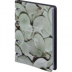 Тетрадь общая, BS, А5, 120л., клетка, кольца. Botanica, эвкалипт N4234 Тетрадь общая, BS, А5, 120л., клетка, кольца. Botanica, эвкалипт N4234 - фото 2